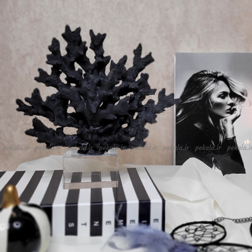 مرجان پایه کریستال مشکی