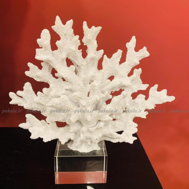 مرجان پایه کریستال سفید