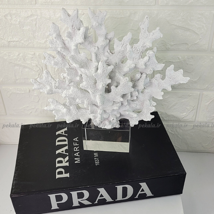 مرجان پایه کریستال سفید