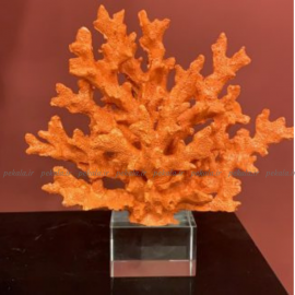 مرجان پایه کریستال نارنجی