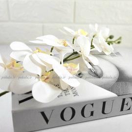 گل ارکیده لمسی سفید