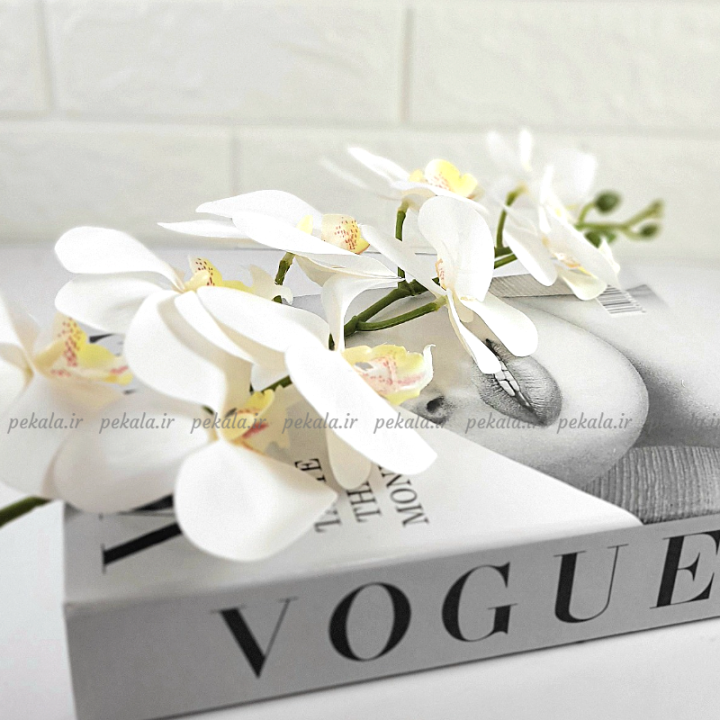 گل ارکیده لمسی