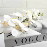 گل ارکیده لمسی سفید