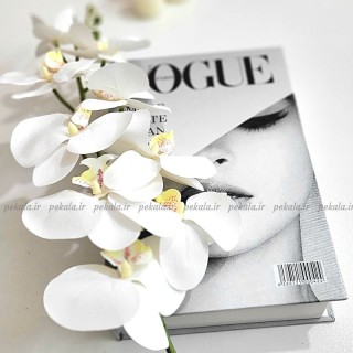 گل ارکیده لمسی