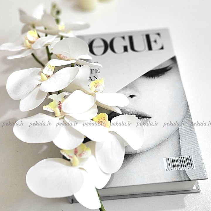 گل ارکیده لمسی