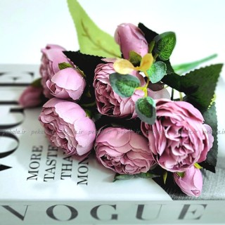 بوته گل پیونی بنفش