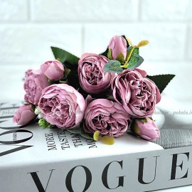 بوته گل پیونی بنفش