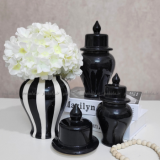 جینجرجار مشکی