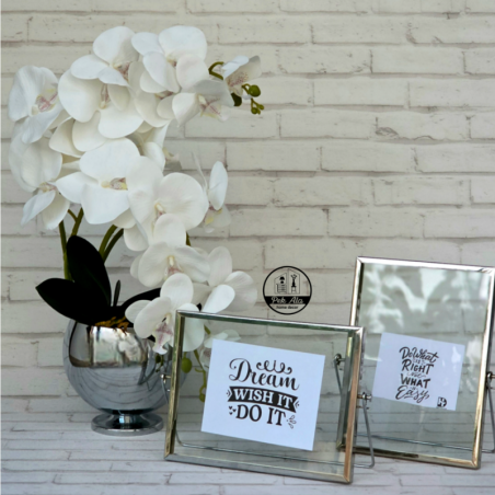 گل ارکیده لمسی سفید