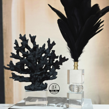 مرجان پایه کریستال مشکی